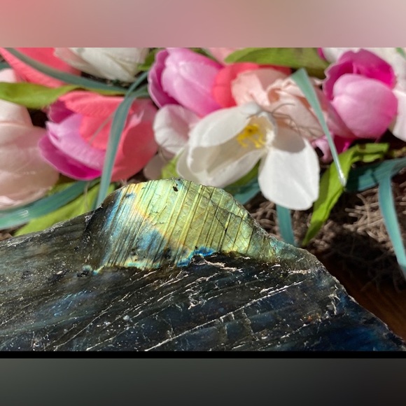 Reserved - Picture 6 of 12